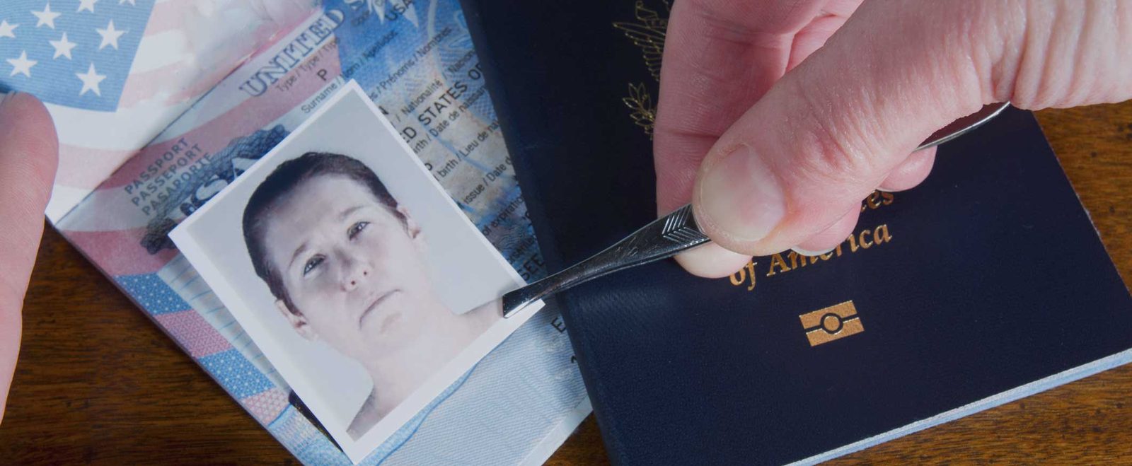 Tweezers placing a photograph into a passport, the forgery of an identity document