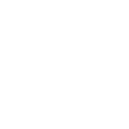 Law Offices of Alejo Lugo & Associates
